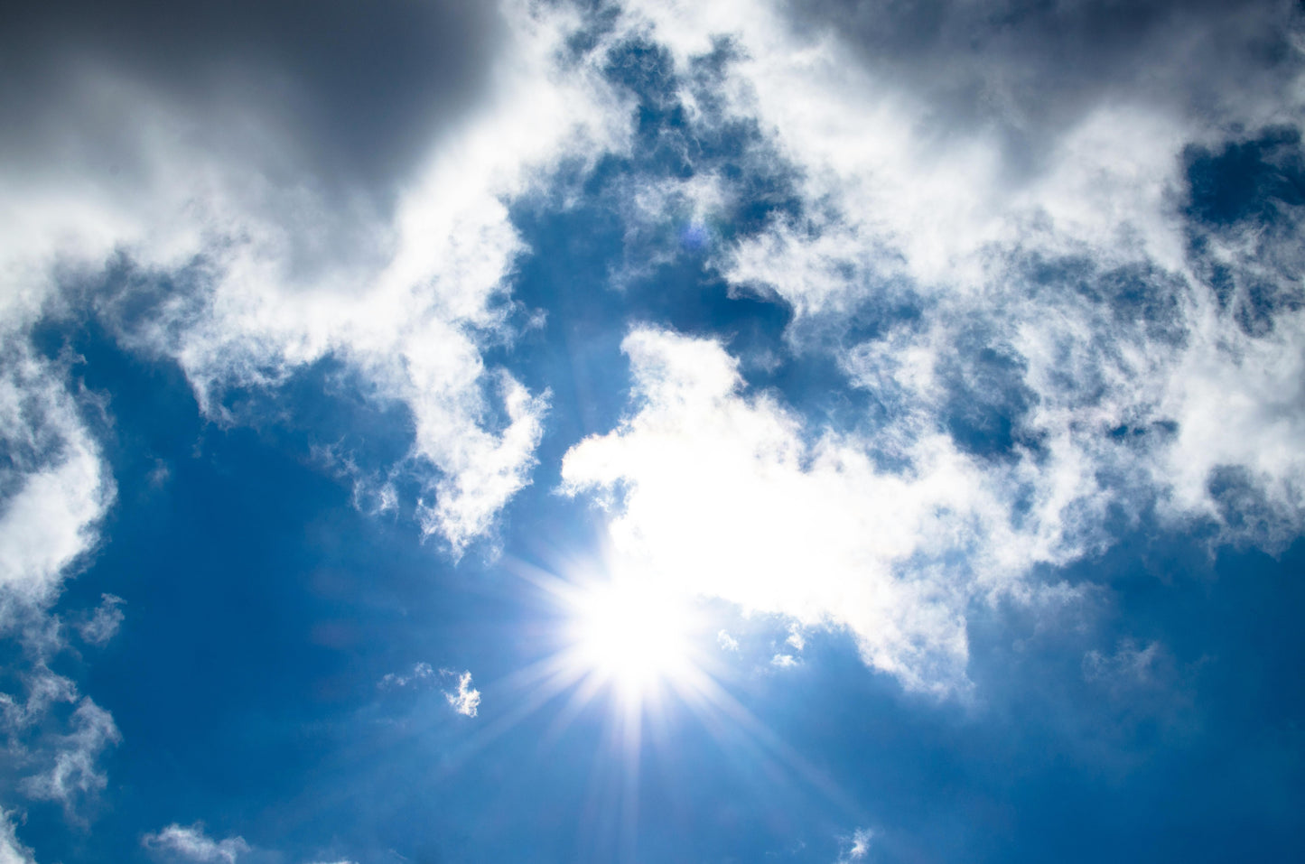Vitamin D Test